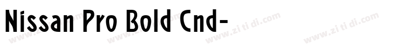 Nissan Pro Bold Cnd字体转换